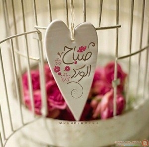 0c4ace5a6a4c35a9fefa2a57d8ab8cfd