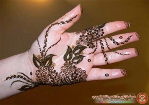 2014-Mehndi-Designs-For-Womens-and-for-Girls-11