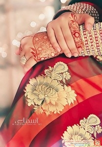 3f05c01e6ea82b0e449c04a62ed588b3
