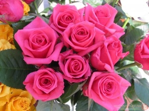 8facd35d565bdc0c5e08901e68a8fd0e