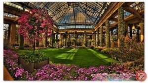 Beautiful-Garden-House-Photos-7