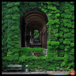 Beautiful-Garden-House-Photos-8