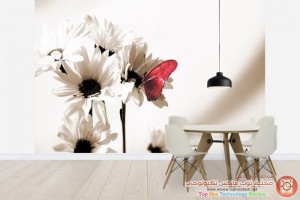 Julia-Butterfly-Wall-Mural-for-Dining-Room