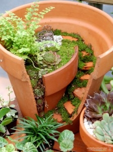 Natureworks-2012-Ambers-Pot-767x1024