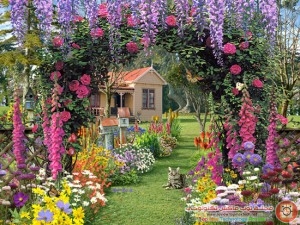 Small-Cottage-Gardens1