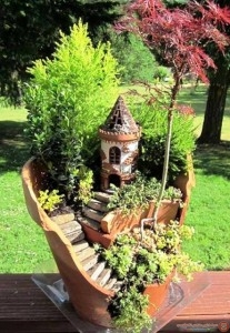 bonsai-ağaç