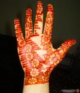 cool_flowers_mehndi_design_collection_2012