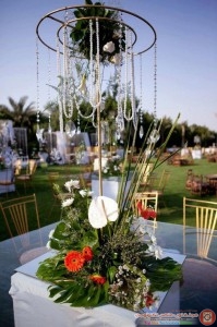 image (11)