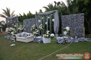 image (3)