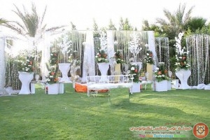 image (4)