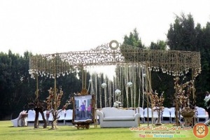 image (5)