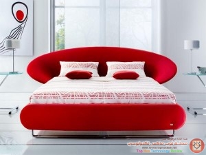 images_cytb