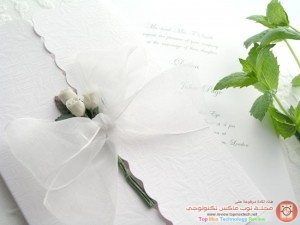 img_1339281184_209