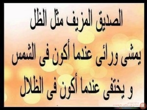 large_1238293744
