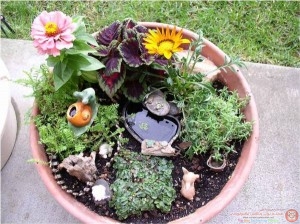 minigarden-4