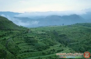 n4hr_12935977012