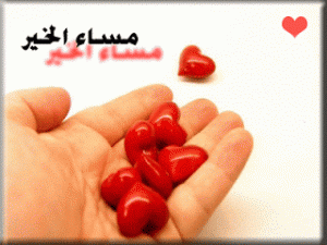 photos_evening_al_khair_bonsoir_05