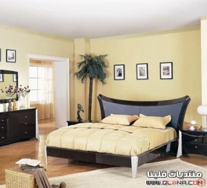 qlbna.com13433155283