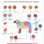 شروط و عمر الاضحية ونوعها ووقت ذبحها