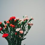 صور ورد