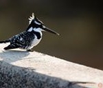  صور طبيعية ساحرة أجمل الصور الطبيعية