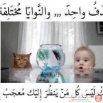 حكم واقوال مصورة 2014