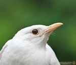  صور طبيعية ساحرة أجمل الصور الطبيعية