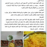 اكلات مصورة للارز واللحم من المطبخ اليمني 