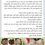 اكلات مصورة للارز واللحم من المطبخ اليمني 