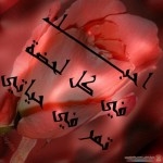 عبارت مشاعر وإخاء بالصور