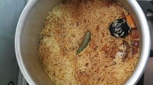 مضغوط دجاج