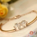 اكسسوارات ناعمه ورقيه للصبايا 2014