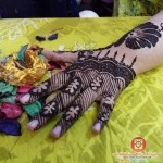 ملف كامل نقوش حنا جديده 2014 , اجمل نقش حنا متنوعه 2015 