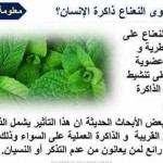 معلومات قيمه تهمك