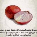 معلومات قيمه تهمك