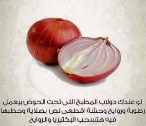 معلومات قيمه تهمك