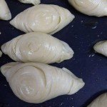 شعيبيات بالتفصيل وخطوات مصورة