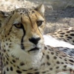  صور طبيعية ساحرة أجمل الصور الطبيعية