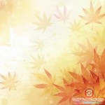 افظل صور هادئه 