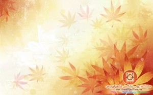 افظل صور هادئه