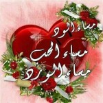 كلمات اعجبتني 