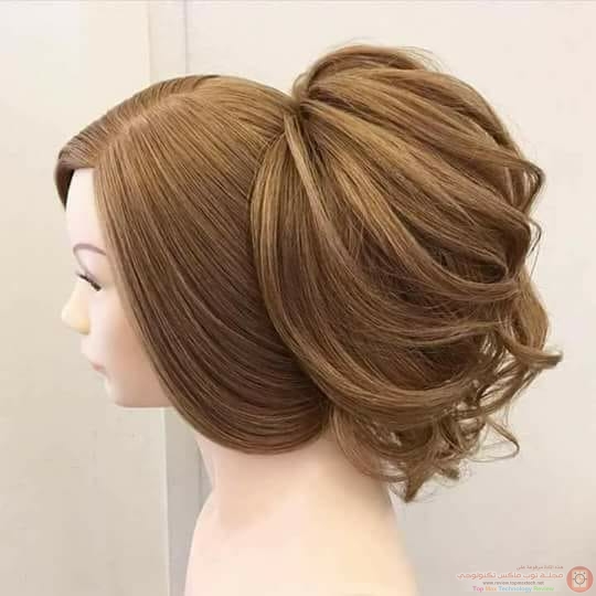 علاج الشعر الابيض  الشيب المبكر نهائيا بالاعشاب