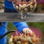 افكار ابداعية للزراعة فى المنزل