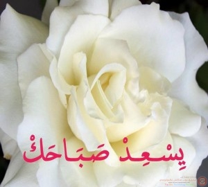 اجمل الصور الصباحية و المسائيه