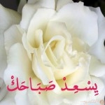 صور اجمل صور ورود احلي صور ازهار 