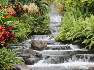 صورومناضرطبيعية من الطبيعه