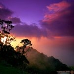 صور من الطبيعه