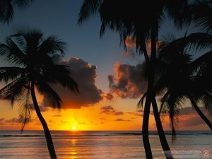 صور طبيعية