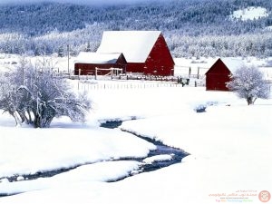 صور طبيعية