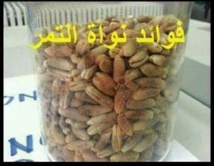 معلومة رائعه فوائد نواة التمر 